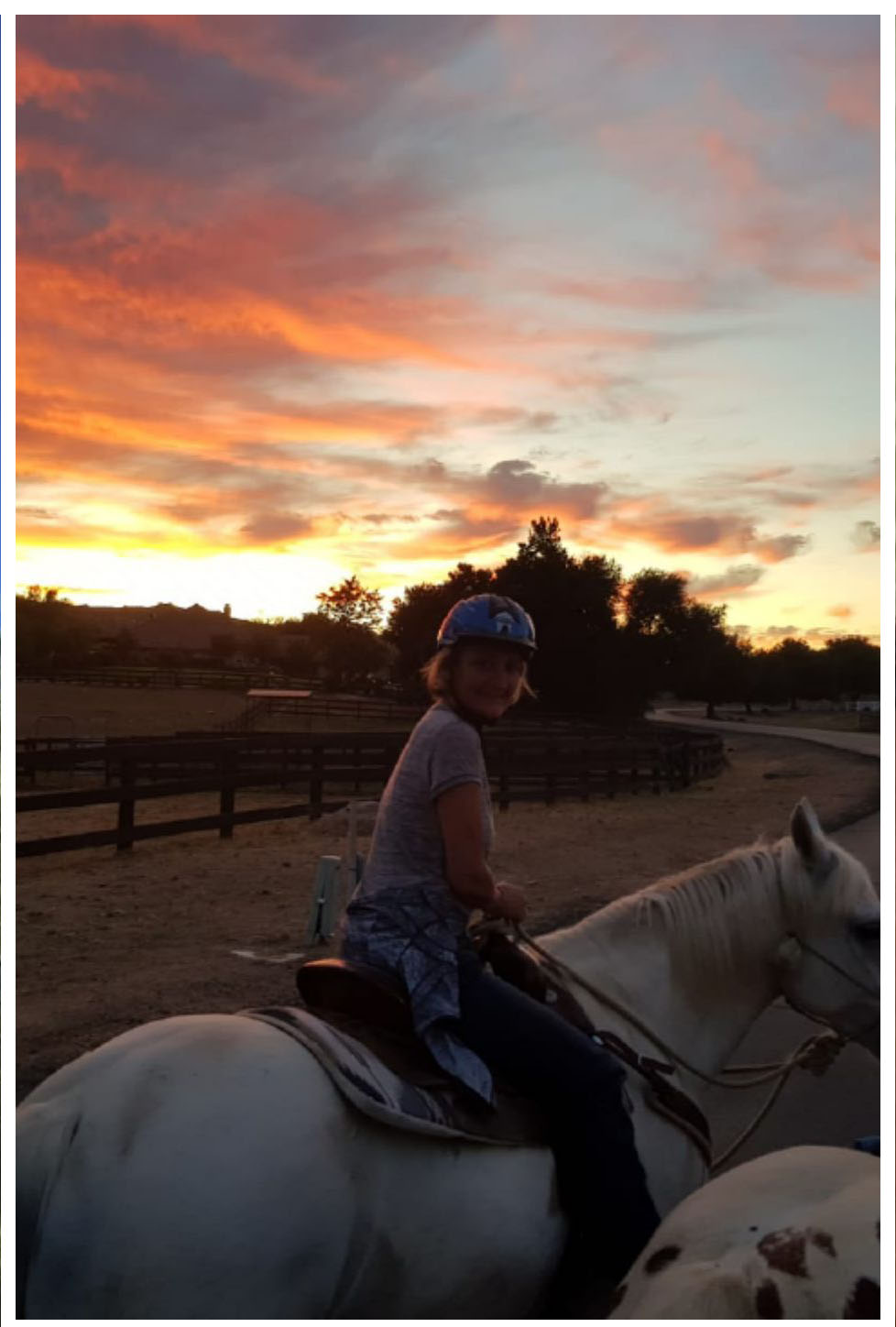 Horse Sunset