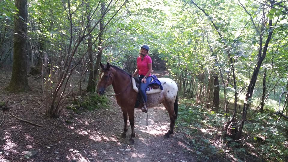 Horseback Riding Lessons in Murrieta, CA | Bluewater Ranch